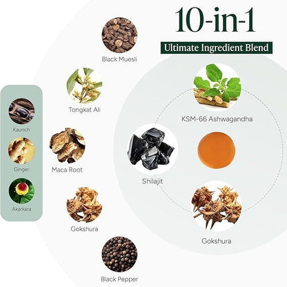 Shilajit Gummies for Body Care